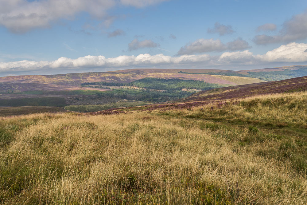 Berry Clough